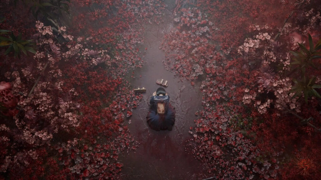 A portrait of a person with a camera taking a photo of a tree with lush green leaves and vegetation in the background.